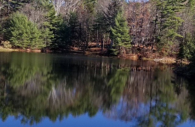 Streamside Mountain Lodge