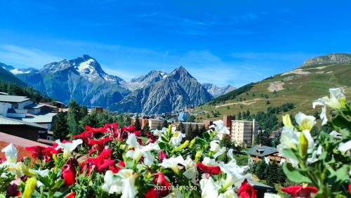 Studio Cabine 4 pers Les2Alpes 21m²