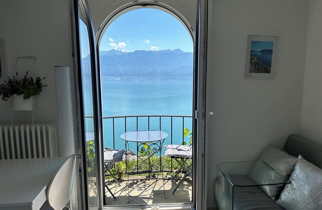 Stunning APT with 360 ° panoramic view of lake Geneva and Alls in the vineyard