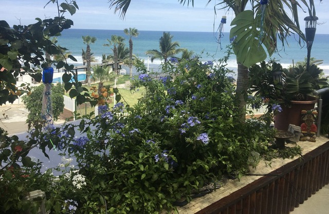 Stunning ocean views from beautiful patio, walk to beach.