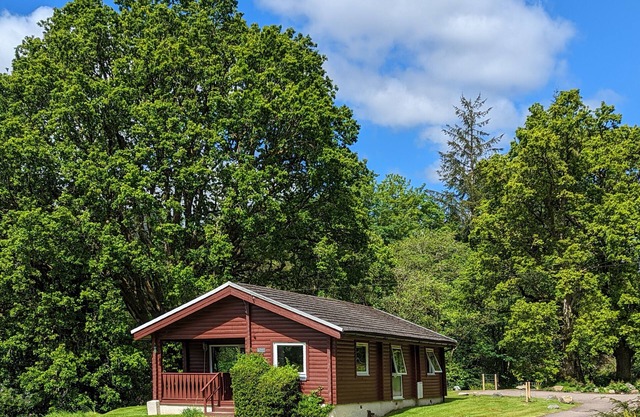 Stylish, Comfy & Cosy log cabin in National Park, dogs & families welcome!