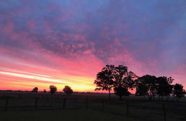 Sugar Land Countryside and Brazos Bend Park quiet farm house retreat