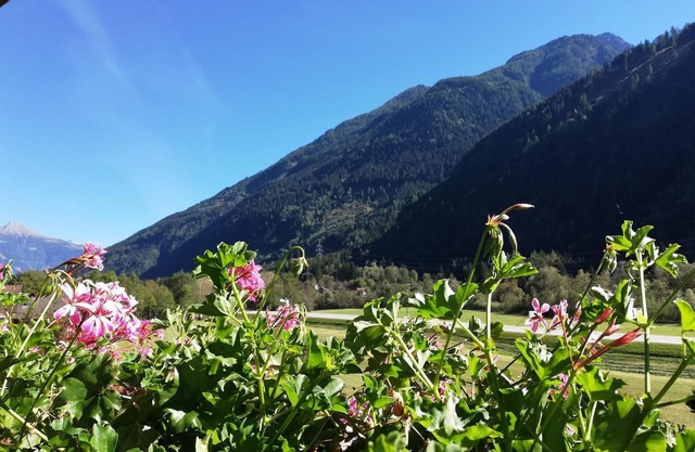 Suite - Hotel Flattacher Hof