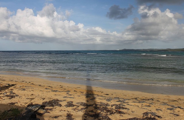 Sun, Beach, Nature and Peace.