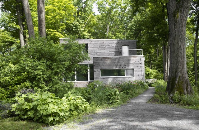 Sunny Clutter Free Modern Home