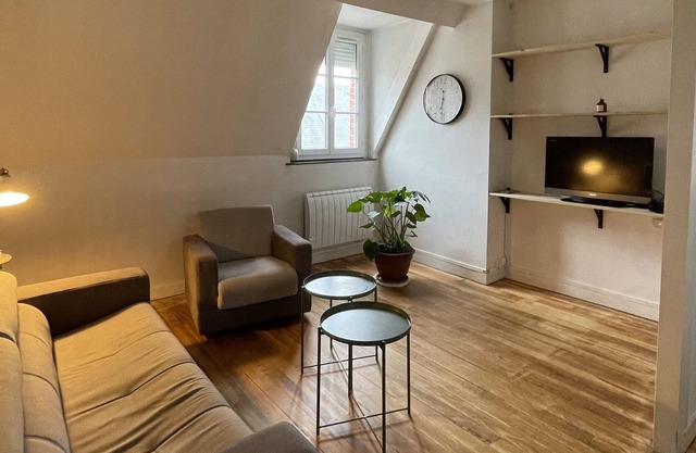 Superb apartment in the historic center