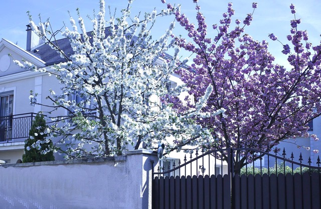 SUPERB HOUSE NEAR PARIS and DISNEYLAND