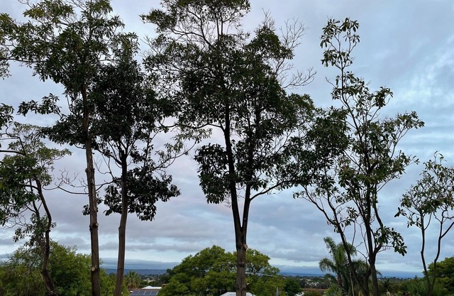 Swan Retreat - 2 bedroom/modern interiors/views