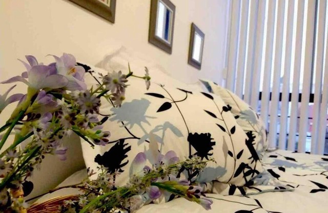 Sweet Home San Luiss