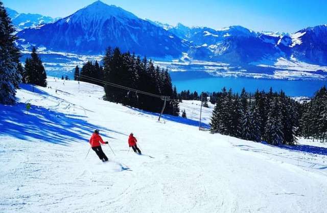 SwissHut Stunning Views Alps Lake - Chalet Aeschlen