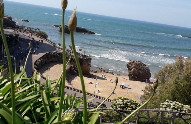 T 2 a BIARRITZ : (Grande plage 7 min. a pied)🌞