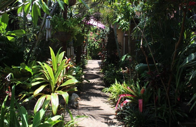 Tallows Beach Sanctuary, beachside unit, walk to beach and shops. WIFI, Netflix