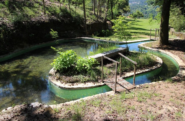 Tapada de São Domingos