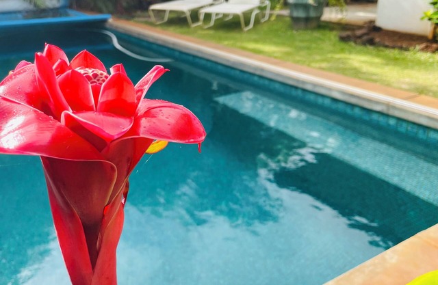Taro: One of two studios/Secluded pool oasis at Walelia Getaway - South Kaua'i