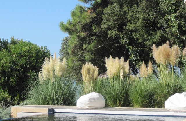 Taste of Seaside France from Luxury Cliff-Top Villa near Bordeaux & La Rochelle