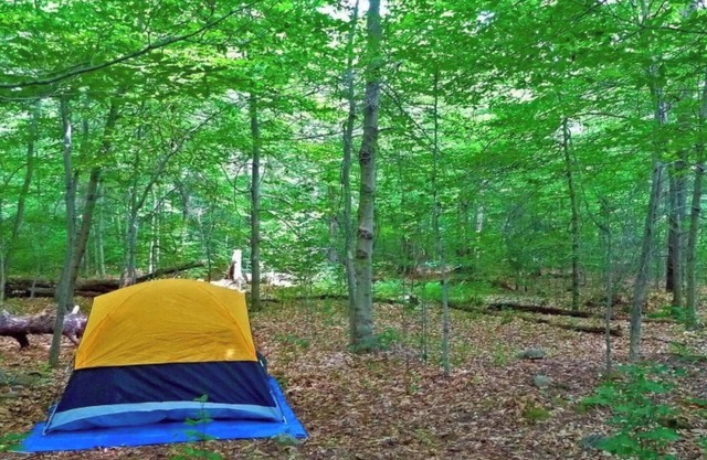 Tent Camping ROCK THE SOUTH Walk to Rock The South.