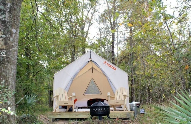 Tentrr State Park Site - Louisiana Fontainebleau State Park - Pond View G - Sing