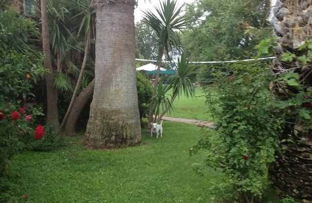 Tenuta Borgo Caere - un'oasi a 30 minuti da Roma