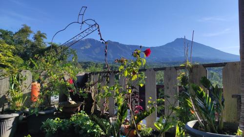 Tetebatu Terrace Homestay