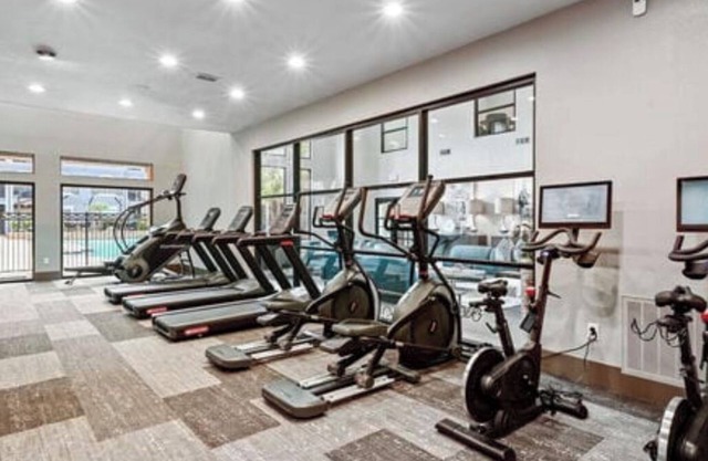 Texas Medical Center short term & long term stays 5 mins from M.D. Anderson