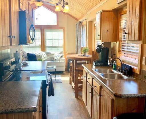 The Armadillo Cabin - Cabins At Rim Rock