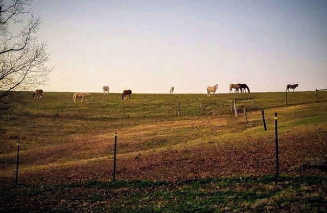 The Bunkhouse @Dragonfly Ranch is made to make you feel like home away from home
