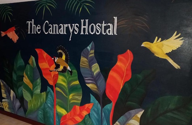 The Canarys Hostal