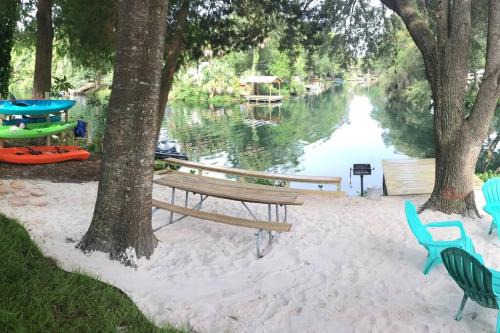 The Chuby Mermaid - Weeki Wachee River Access Waterfront with Paddlecraft