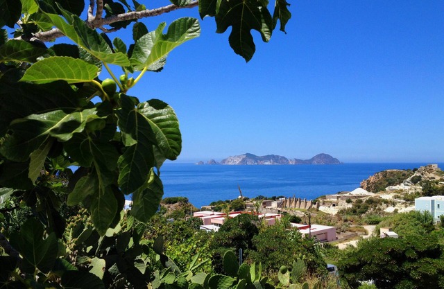 The Dream . in the island.