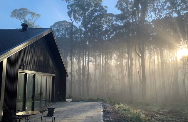 The Forest House: A Tranquil House Among the Trees