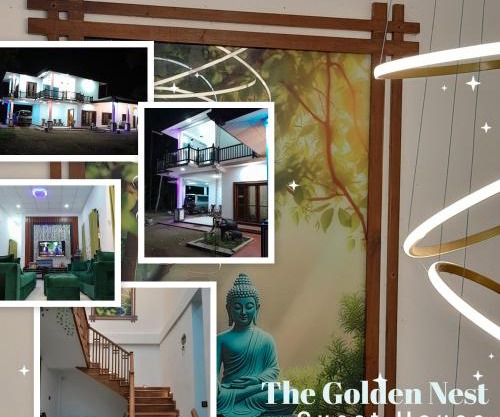 The Golden Nest