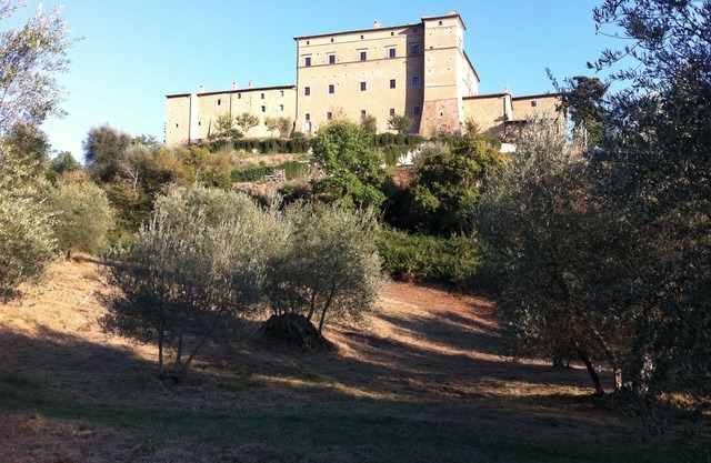 The Granary- 3 Bedroom Apartment in Medieval Castle with huge living room