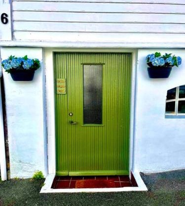The Green Door H1