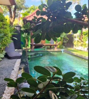 The Green Harmony Villa Homestay