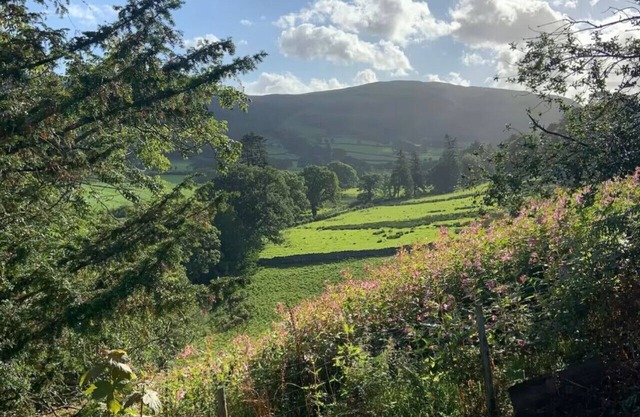 The Hideaway - Lorton