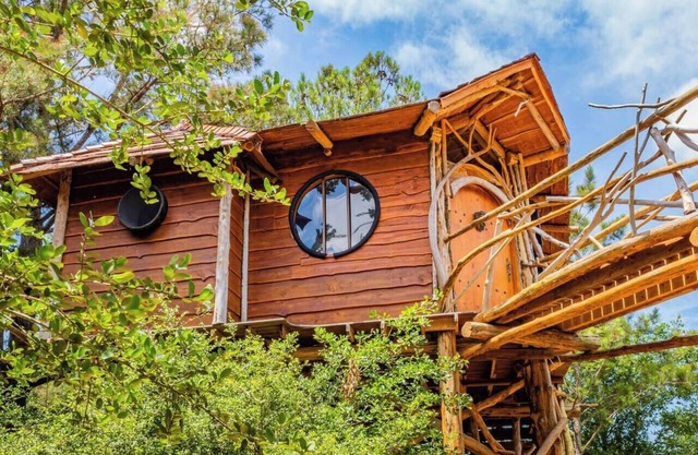 The Hobbit's Nest, A Magical Dog-friendly Treehouse in the Lost Pines Shire