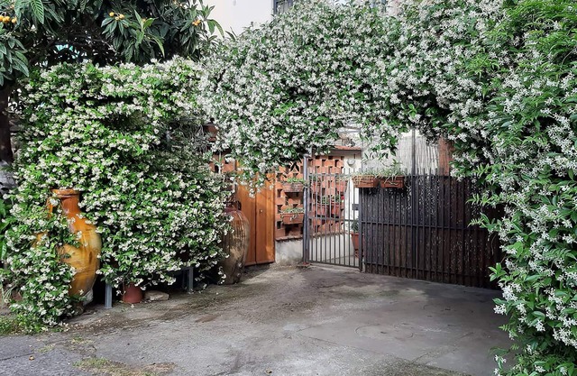 THE HOME OF JASMINE AND MEDLAR, TO MAKE YOU FEEL AT HOME.