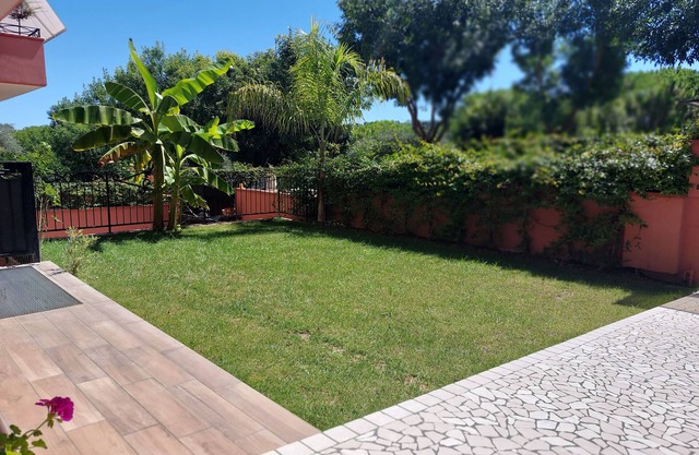 The house of olive trees