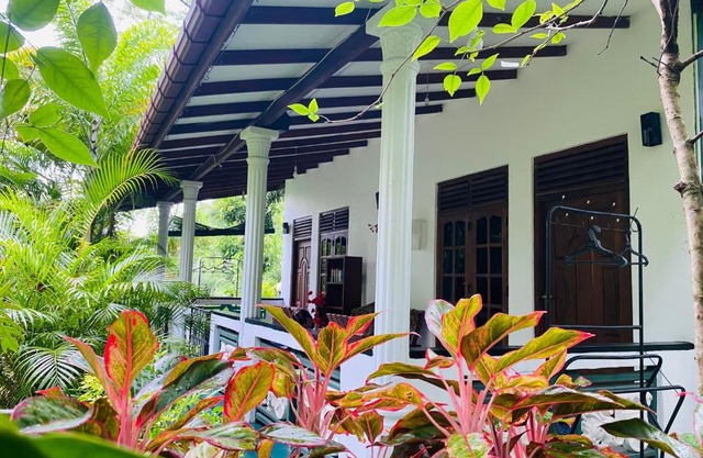 The Jungle Path Lodge