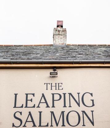 The Leaping Salmon