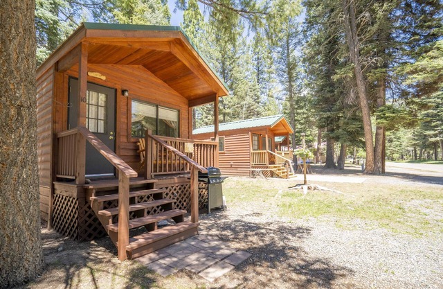 The Lupine Cabin #10