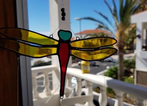 The Magic Dragonfly
