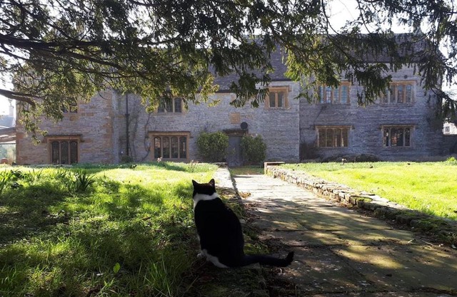 The Manor House, Curry Mallet