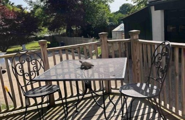 The Mercury B & B