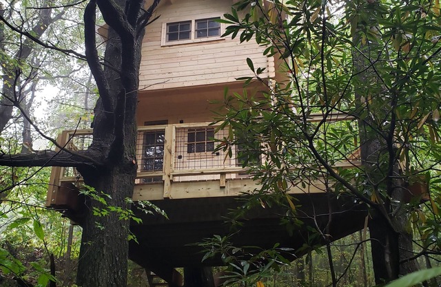 The Music Box Treehouse
