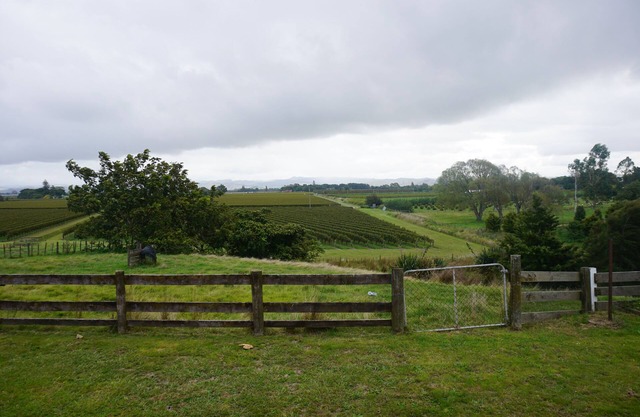 The name "Vineyard Vista" reflects the setting of this property.