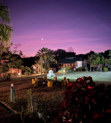 The Nest, Pai Love Resort
