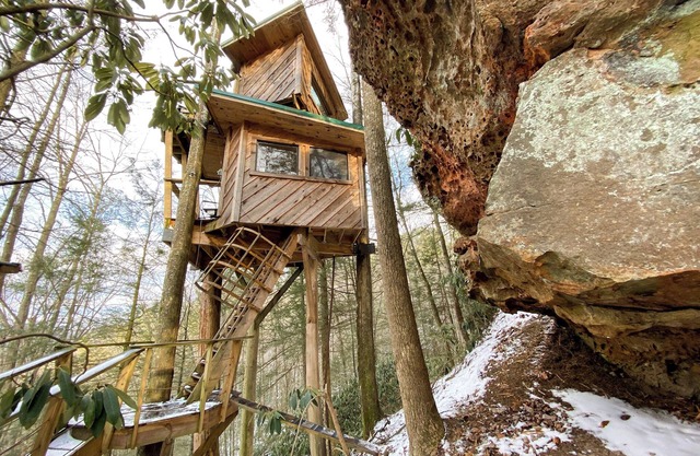 The Observatory Treehouse: To Infinity and Beyond!