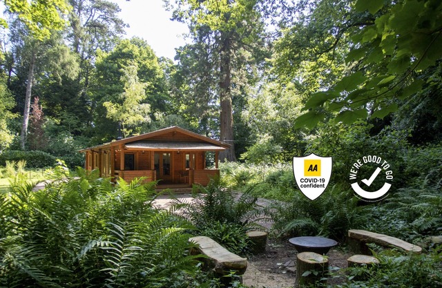 The Old Quarry — Log Cabin In The Woods
