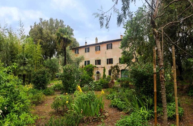 The Palms Apartment
